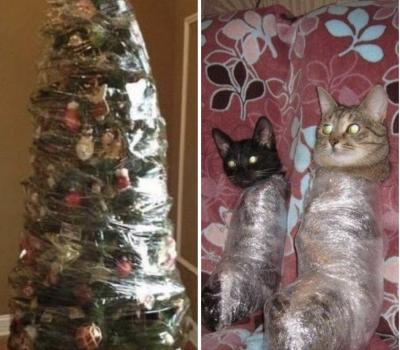 Прикрепленное изображение: 30333695_0449489b1fad853d14291d1a7cd4f4b7.jpg